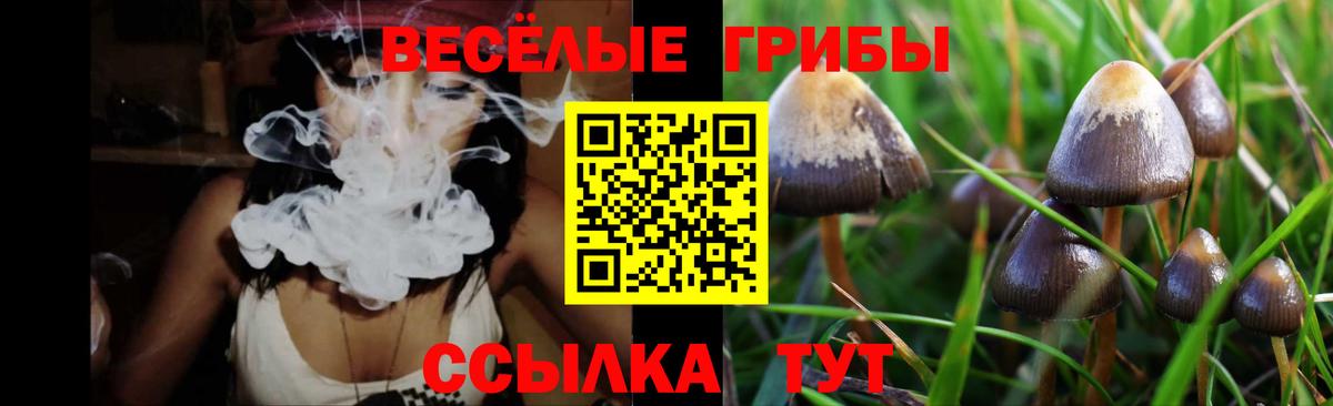 Галлюциногенные грибы MAGIC MUSHROOMS  Вход с VPN  Алушта 